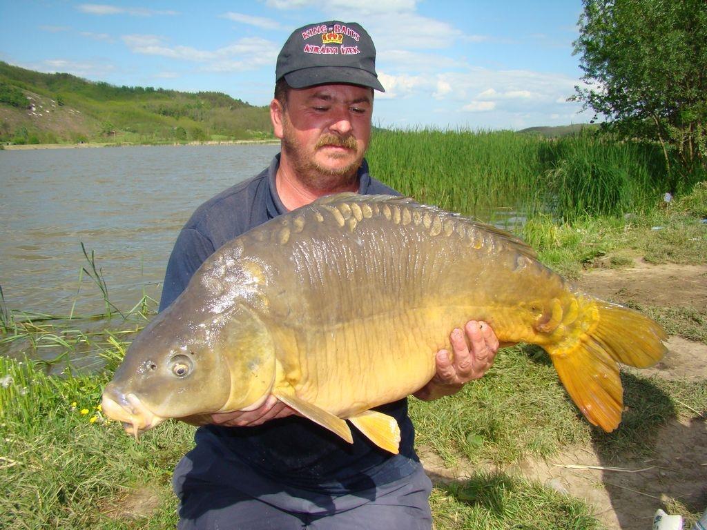 Cipibaits - 00104791.jpg